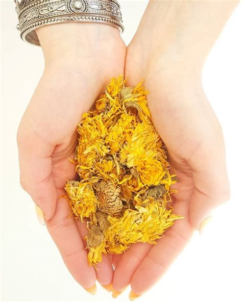 The marigold flowers are bright yellow, orange and gold in color, representing passion, optimism and success. Calendula Flowers - Marigold #dried #Flowers #flowershop # ...