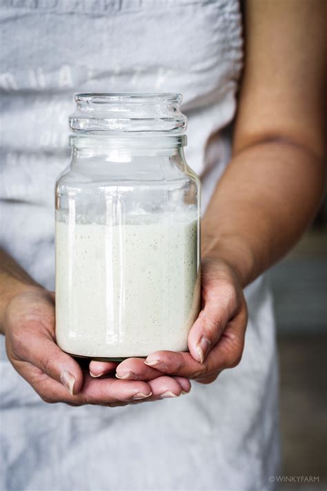 make your own sourdough starter from scratch winkyfarm