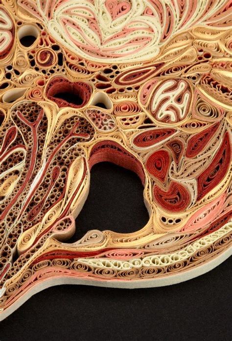 A Anatomia De Papel De Lisa Nilsson Via Pristinaorg Quilled Paper