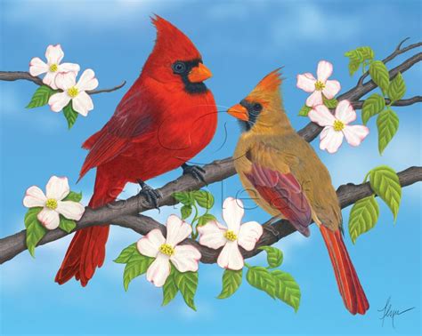 Cardinal Art Print Illustration Of Red Cardinals On Blue Bird Art