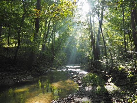 Mindful Hiking: The Healing Power of Nature - Floracliff Nature Sanctuary