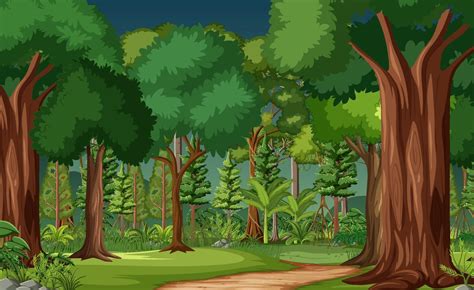 Forest Scene With Many Trees 2149485 Vector Art At Vecteezy