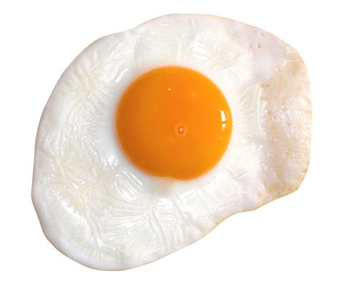 Egg Png Transparent Image Download Size 1450x1216px