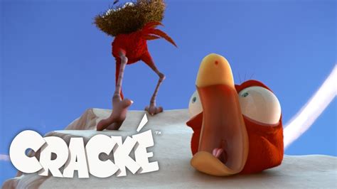 Cracke Cracks Cartoons For Kids Compilation Youtube