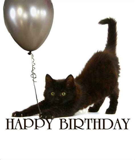 Black Cat Happy Birthday Kitten Card Greeting Card Cat Lovers Card Blank Balloon 5030453014557