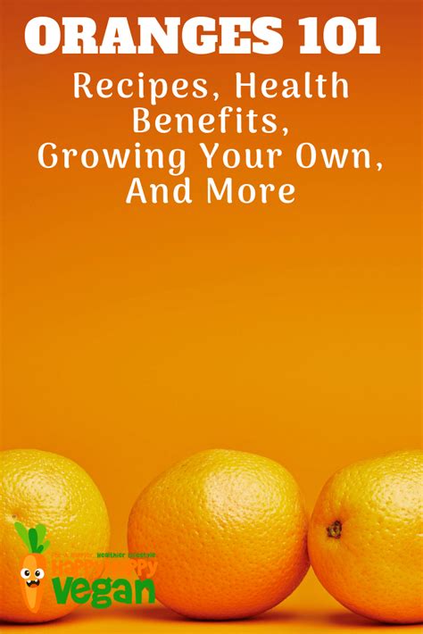 Oranges 101 Recipes Health Benefits Growing Your Own And More