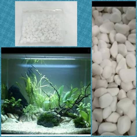 Jual Batu Hias Kamper Putih Hiasan Aquarium Taman Miniatur Batu Koral