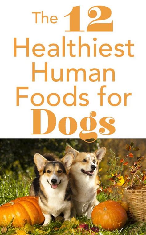 12 Healthy Human Foods Dogs Can Eat Human Food For Dogs Dog Care