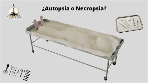 Diferencia Entre Autopsia Y Necropsia 2024