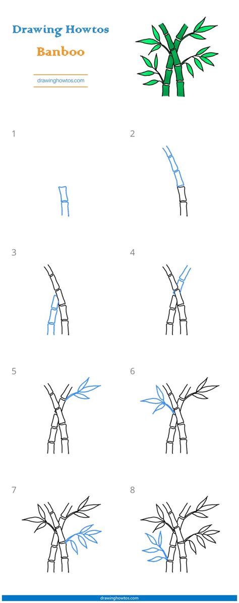 How to Draw Bamboo - Step by Step Easy Drawing Guides - Drawing Howtos