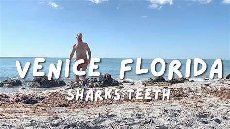 Caspersen Beach Venice Florida To Hunt Sharks Teeth Youtube