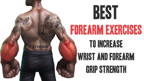 6 Best Forearm Exercises To Increase Wrist And Grip Strength