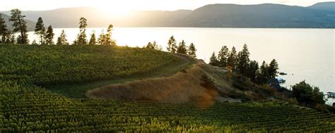 Kelowna Wineries Wine Trails And Tours Okanagan Valley Wine Trail