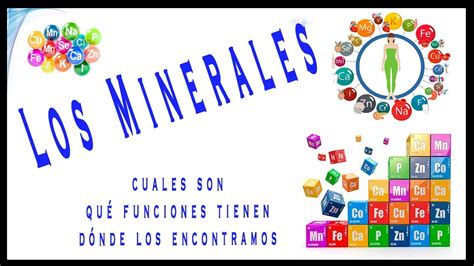 Los Minerales Y Sus Propiedades Macrominerales Microminerales Y