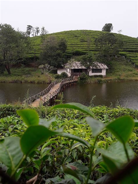 Places To Visit In Vagamon In 2024