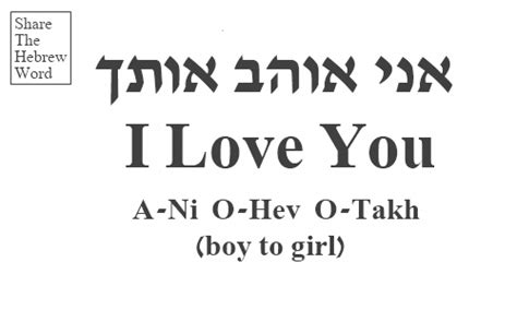 I Love You In Hebrew Boy Hebrewlessons Hebrew Words Hebrew