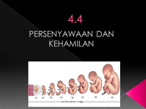 By nusantaraknowledge in topics > art. Nota Ringkas Sains Tingkatan 1 Bab 4 Pembiakan