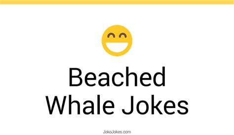 27 Beached Whale Jokes And Funny Puns Jokojokes