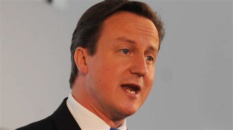 Muslime Britischer Premier Cameron Gegen Burka Verbot Welt