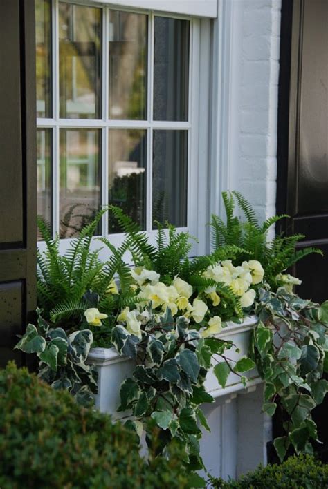 15 Gorgeous Window Box Ideas For Spring