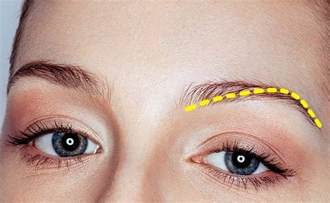 Narcissistic Eyebrows People With Thick Eyebrows Are Narcissists