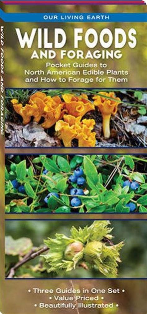 Wild Foods And Foraging Folding Pocket Guides To North American Edible