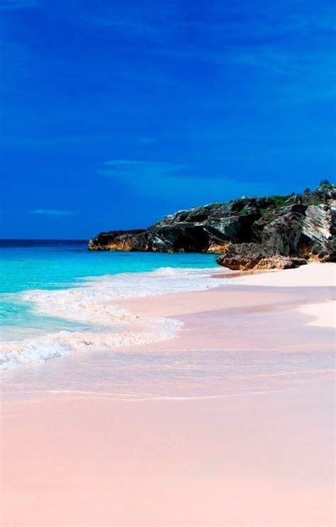 Kings Wharf Bermuda Pink Sand Beaches Yes They Exist Up Your