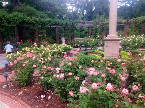 Today her dc home serves as a museum and the extensive grounds and gardens are open. Hillwood Estate Museum and Gardens in Washington, District ...