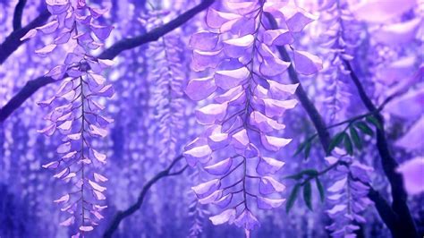 Check spelling or type a new query. Tomioka on Twitter in 2020 | Anime flower, Anime scenery ...