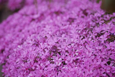 On april 19, 2019, 11:12 utc hour was another. Pink Moon in April: The 'Pink Moon' Rises This Friday