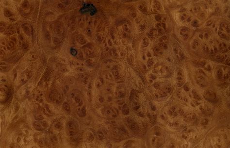 Elm Burl Wood Texture Image 16066 On Cadnav