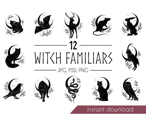 Witch Familiar Spirit Animals Totem Or Patronus Magic Black And White