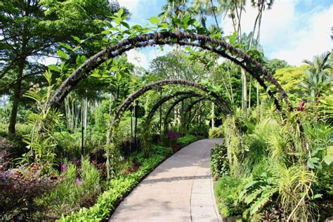 Grass cutting, tree pruning, tree cutting, landscape maintenance, landscape design, soil management program we deliver projects and provides expertise in landscape maintenance in singapore. Giardino Botanico di Singapore | Santa Rita Landscaping