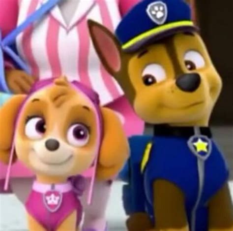 Skye And Chase Paw Patrol Images Skye X Chase Pics