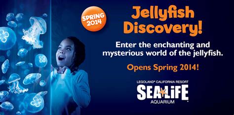 Jellyfish Discovery Is Open At Sea Life Aquarium