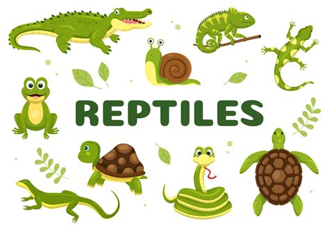 The Animal Class | OER Commons