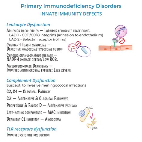 Immunology Microbiology Glossary Primary Immunodeficiency Disorders