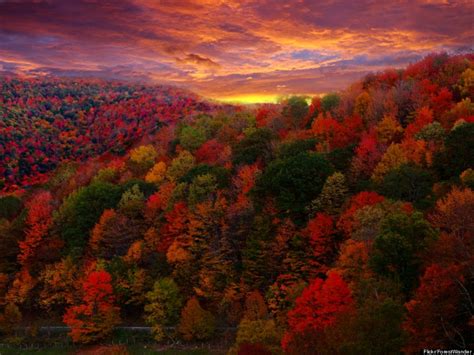 These Amazing Autumn Photos Will Make You Excited Summers Ending
