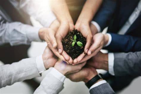The Difference Between Sustainability And Corporate Social