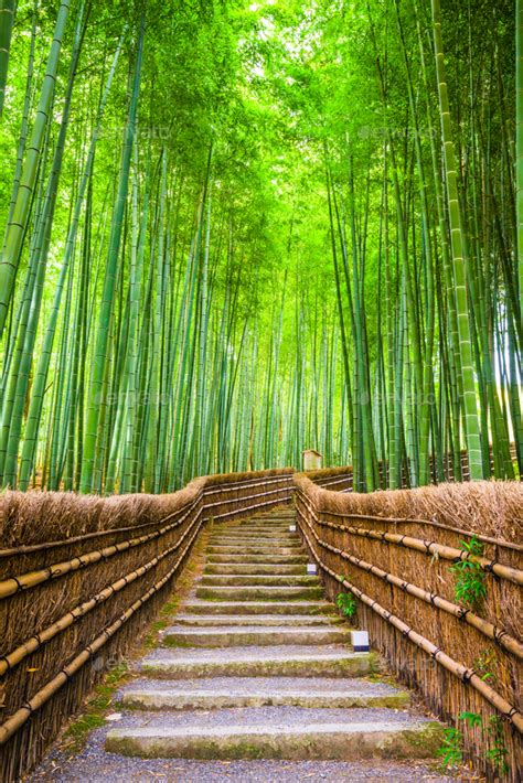 Kyoto Japan Bamboo Forest Stock Photo By Seanpavone Photodune