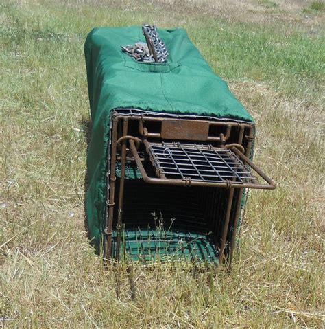 All funds are used for cats. POCATELLO COVERS FERAL CAT TRAPS WITH CHALLENGE WIN (With ...