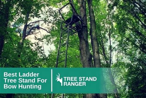 Best Hunting Guides And Gear Reviews By Tree Stand Ranger