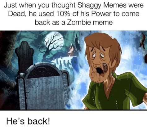 Just When You Thought Shaggy Memes Were Dead He Used 10 Of His Power To Come Back As A Zombie