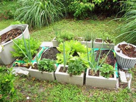 How To Plant A Quick And Easy Garden In Bags Of Soil Without Digging