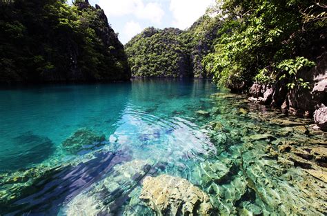 The country has an area of 300,000 square kilometers (115,831. Palawan Island Philippines: One of The Most Beautiful ...