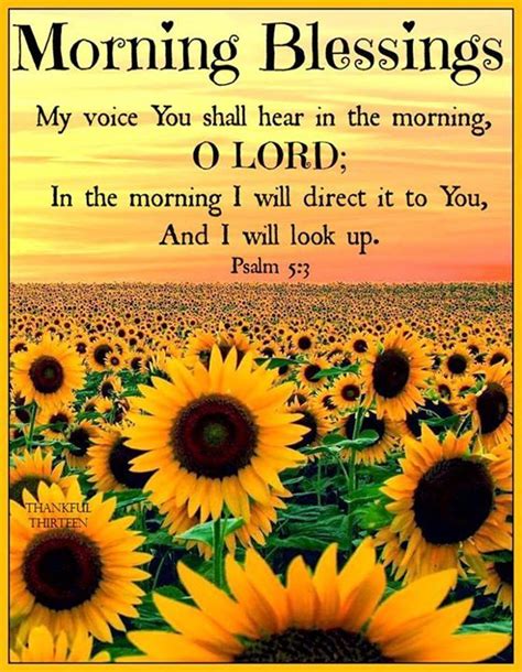 Religious Morning Blessings Quote Pictures Photos And