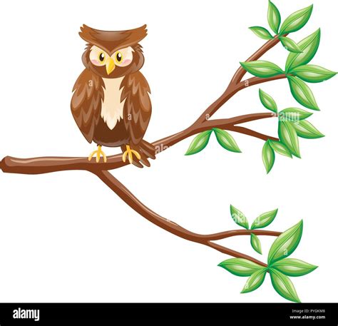 Cute Owl Standing On Branch Illustration Stock Vector Image And Art Alamy