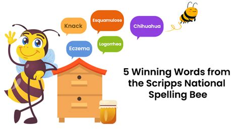 5 Winning Words From The Scripps National Spelling Bee