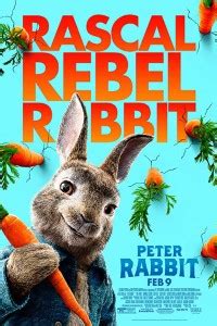 Download Peter Rabbit Dual Audio Hindi English P Mb P Gb