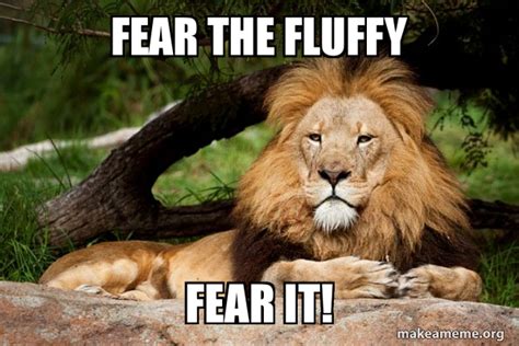 Fear The Fluffy Fear It Contemplative Lion Make A Meme